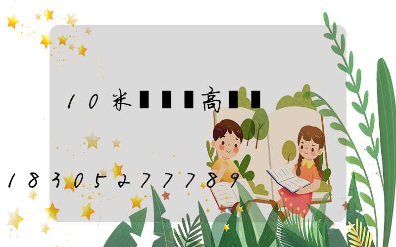 10米廣場燈高桿燈