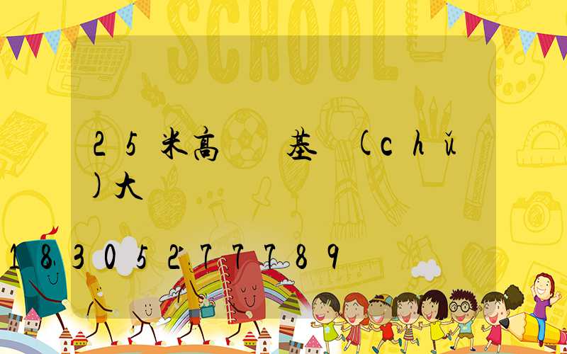25米高桿燈基礎(chǔ)大樣圖