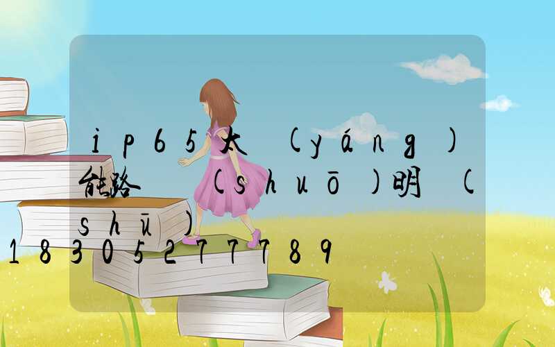 ip65太陽(yáng)能路燈說(shuō)明書(shū)