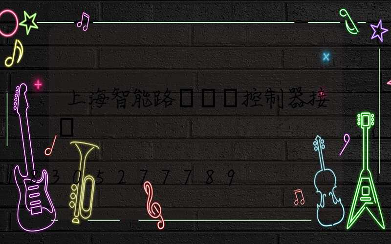 上海智能路燈單燈控制器接線