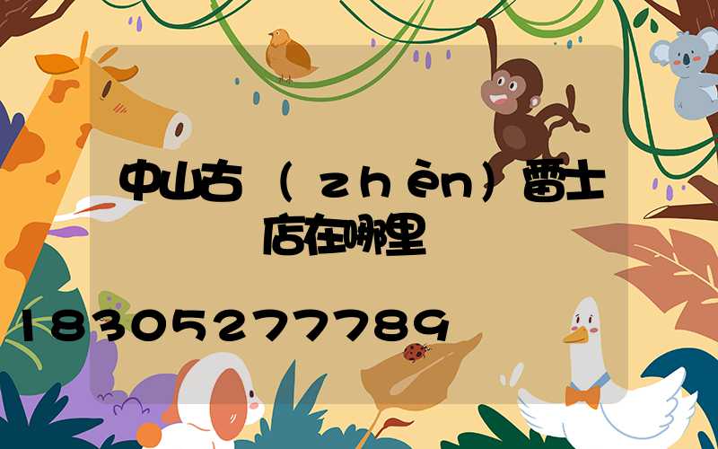 中山古鎮(zhèn)雷士燈飾專賣店在哪里