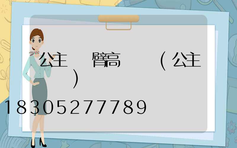 公主嶺單臂高桿燈廠(公主嶺燈會)