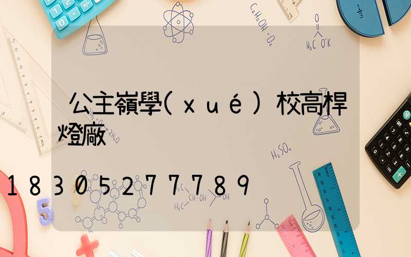 公主嶺學(xué)校高桿燈廠