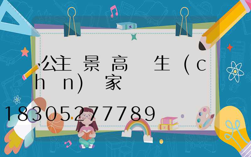 公主嶺景觀高桿燈生產(chǎn)廠家