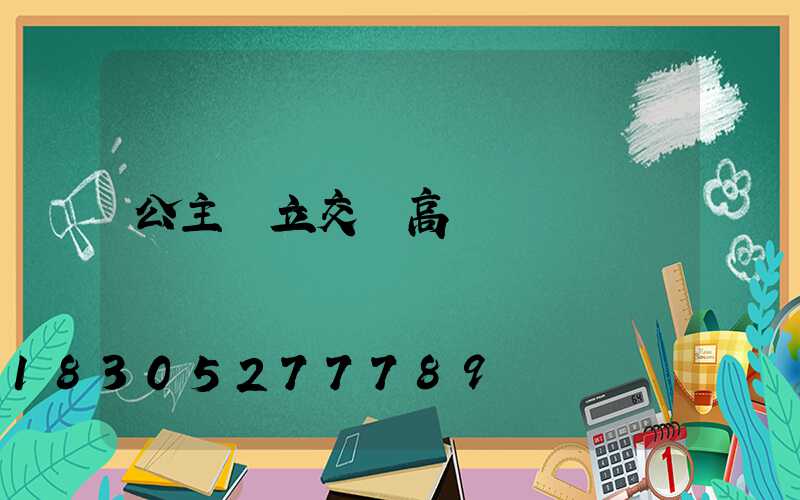 公主嶺立交橋高桿燈廠