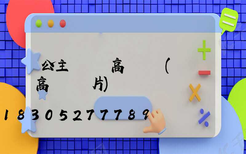 公主嶺雙頭高桿燈廠(雙頭高桿燈圖片)