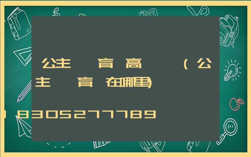 公主嶺體育場高桿燈廠(公主嶺體育場在哪里)