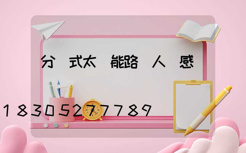 分體式太陽能路燈人體感應