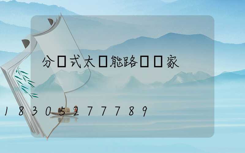 分體式太陽能路燈廠家