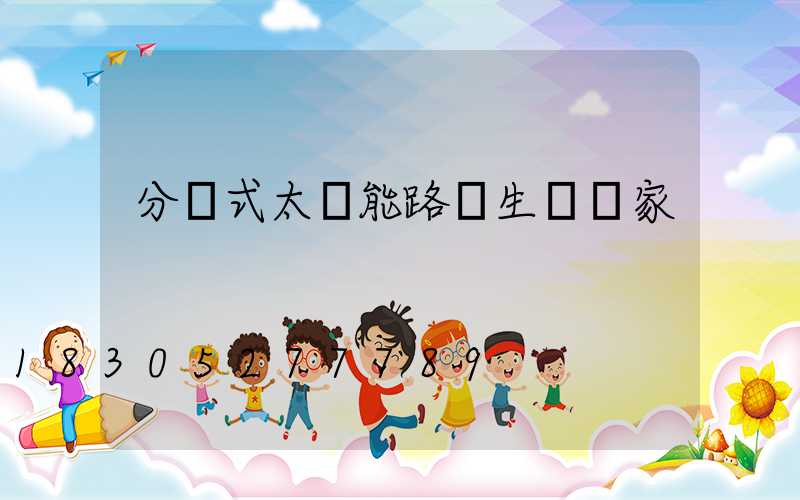 分體式太陽能路燈生產廠家