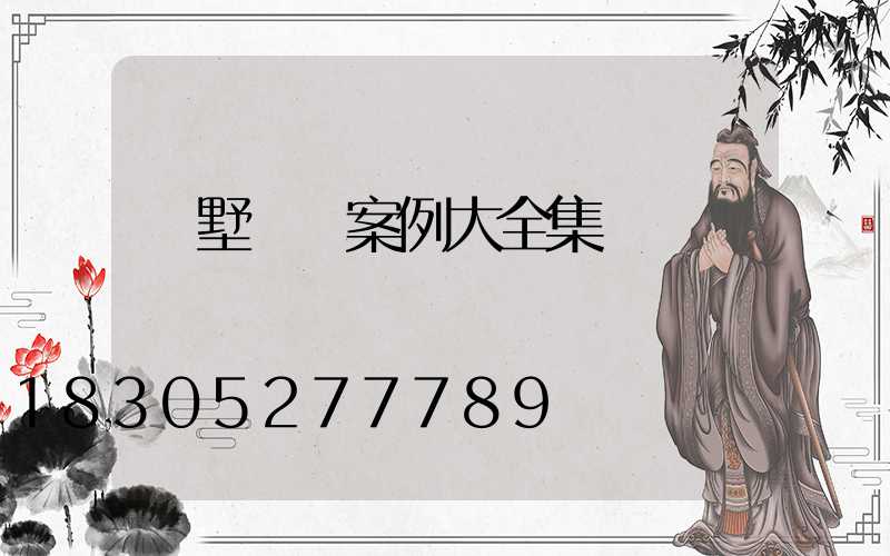 別墅設計案例大全集