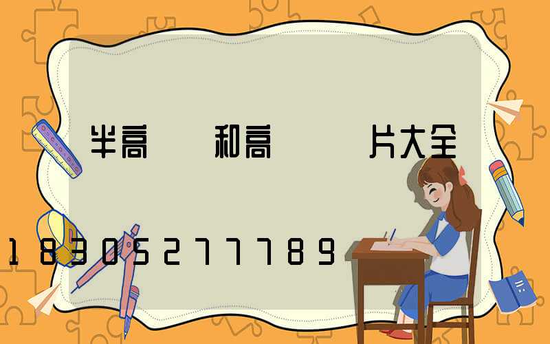 半高桿燈和高桿燈圖片大全