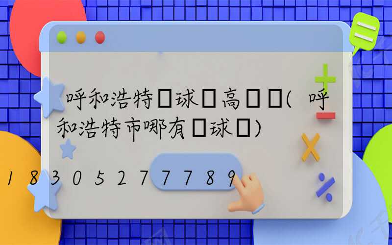 呼和浩特網球場高桿燈(呼和浩特市哪有網球館)