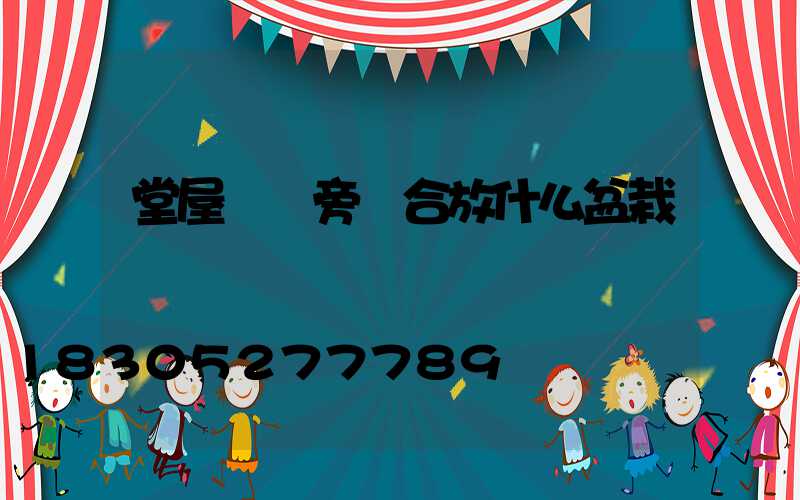 堂屋門兩旁適合放什么盆栽