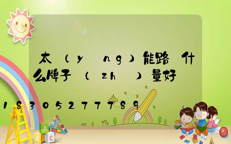 太陽(yáng)能路燈什么牌子質(zhì)量好