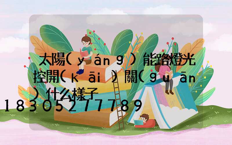 太陽(yáng)能路燈光控開(kāi)關(guān)什么樣子