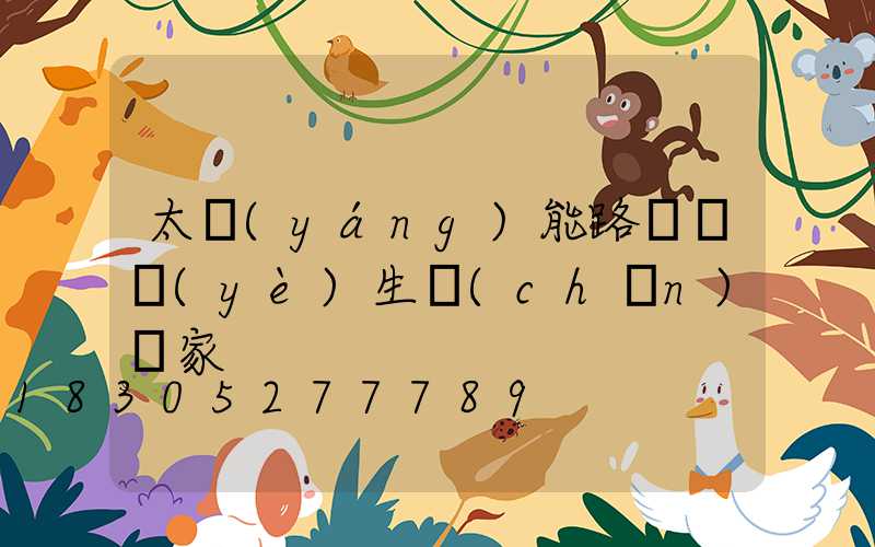 太陽(yáng)能路燈專業(yè)生產(chǎn)廠家