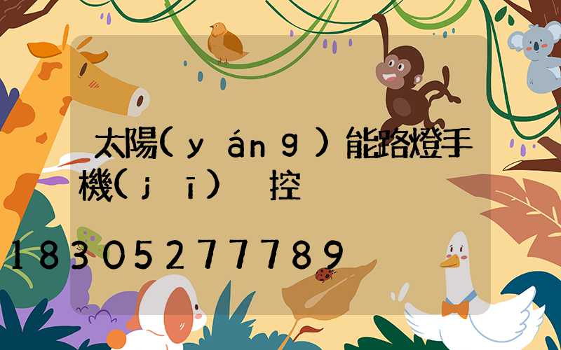 太陽(yáng)能路燈手機(jī)遙控
