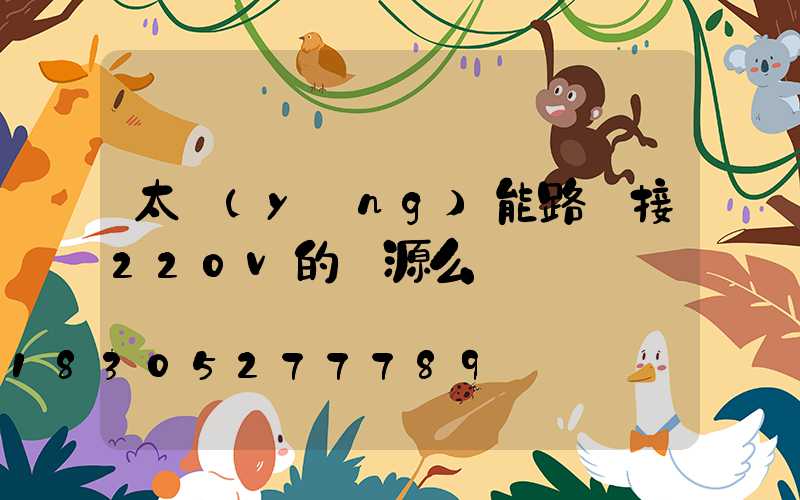 太陽(yáng)能路燈接220v的電源么