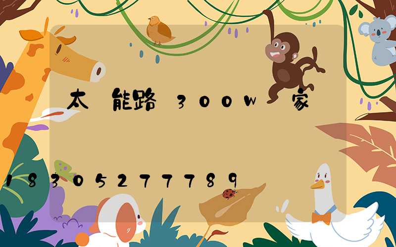 太陽能路燈300w廠家報價