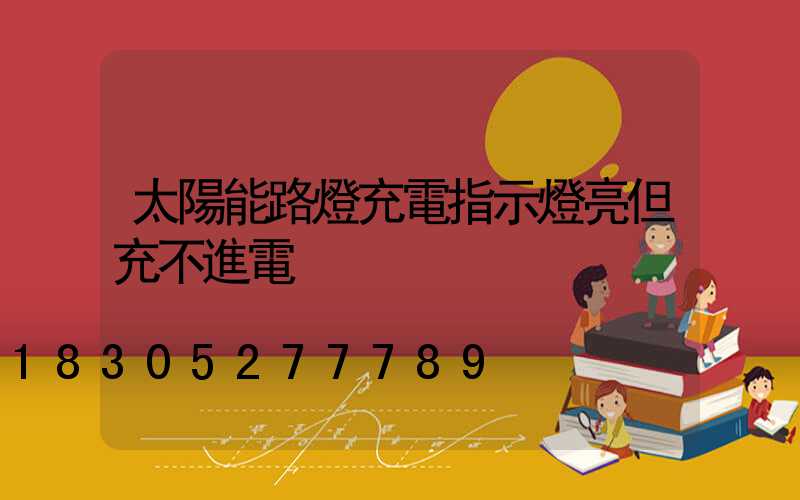 太陽能路燈充電指示燈亮但充不進電