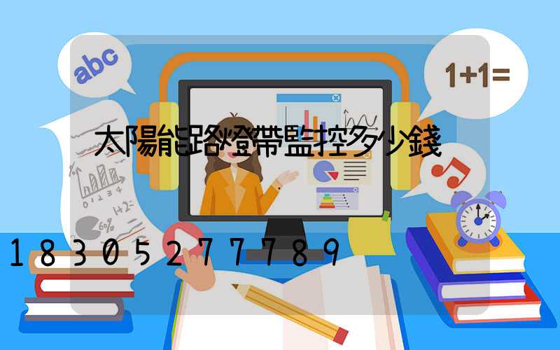 太陽能路燈帶監控多少錢