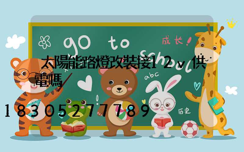 太陽能路燈改裝接12v供電嗎