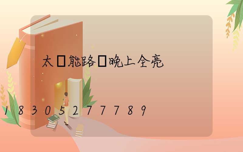 太陽能路燈晚上全亮