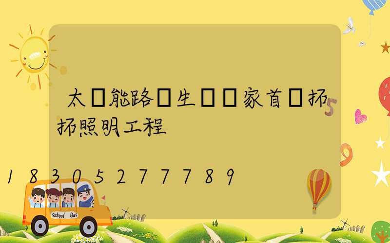 太陽能路燈生產廠家首選拓拓照明工程