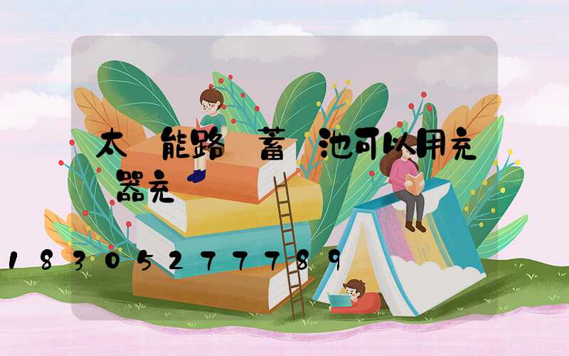 太陽能路燈蓄電池可以用充電器充電嗎