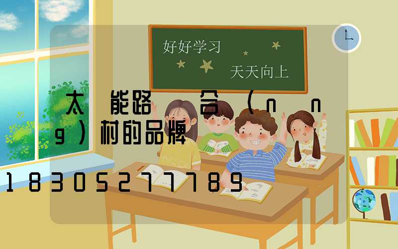太陽能路燈適合農(nóng)村的品牌