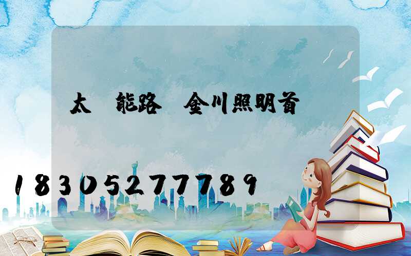太陽能路燈金川照明首選