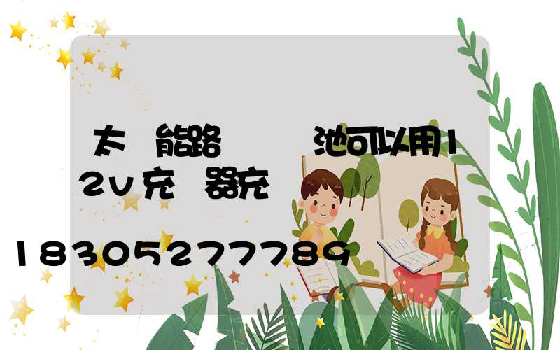 太陽能路燈鋰電池可以用12v充電器充電嗎
