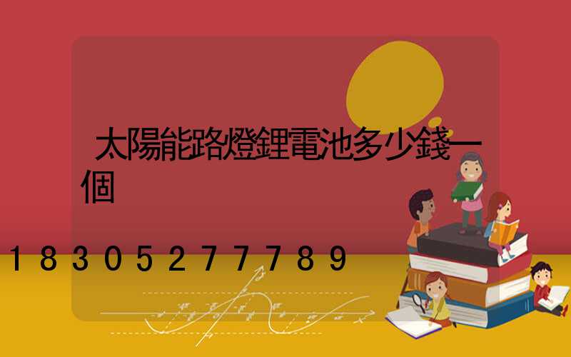 太陽能路燈鋰電池多少錢一個