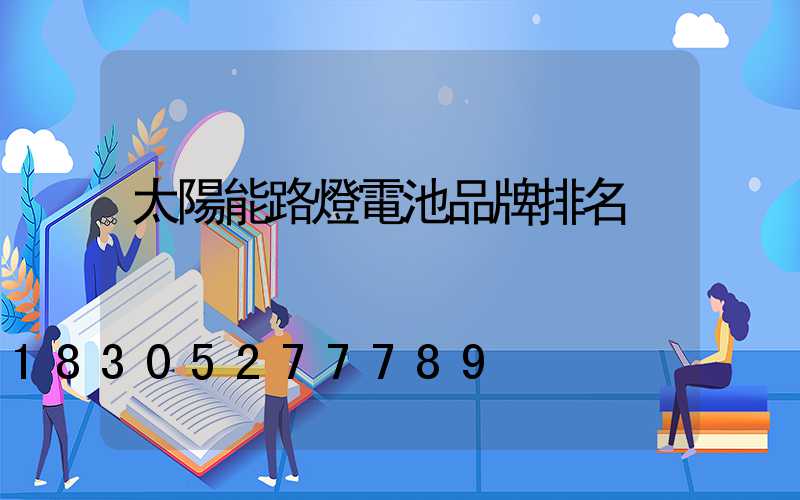太陽能路燈電池品牌排名