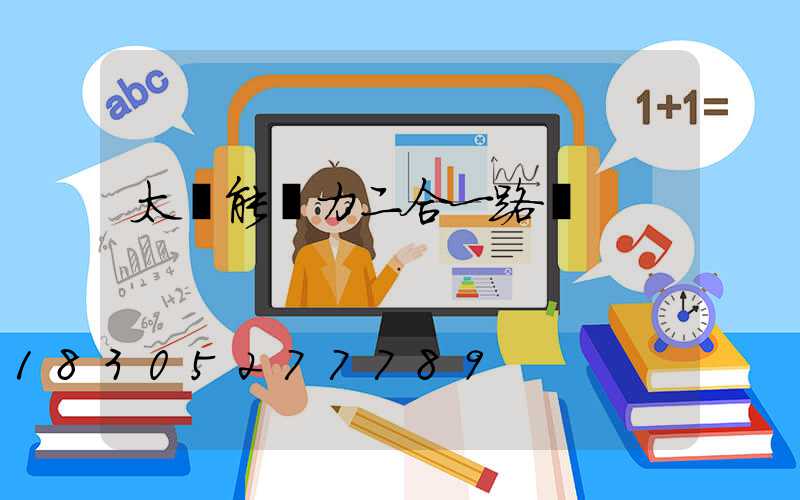 太陽能風力二合一路燈