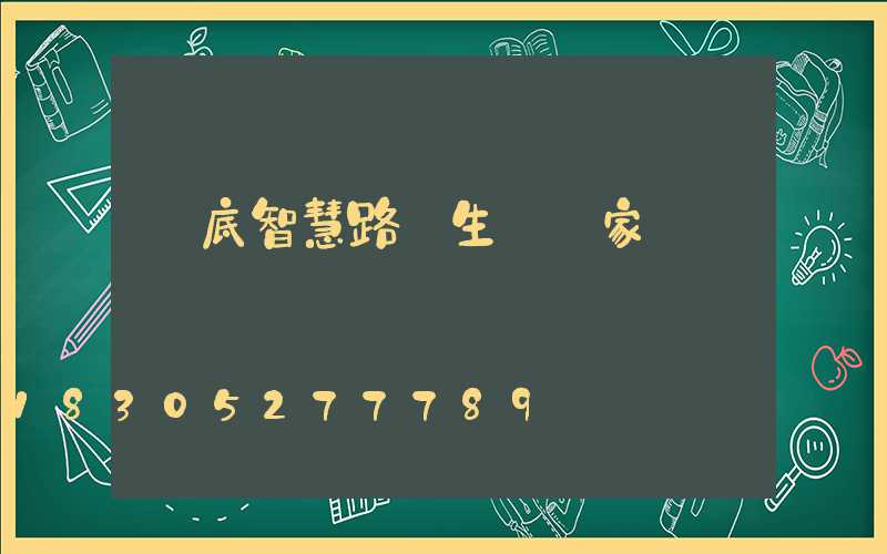 婁底智慧路燈生產廠家
