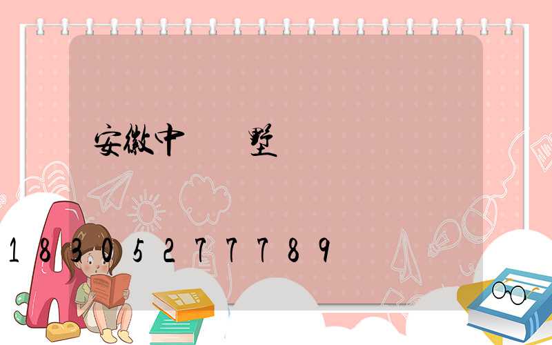 安徽中學別墅補課