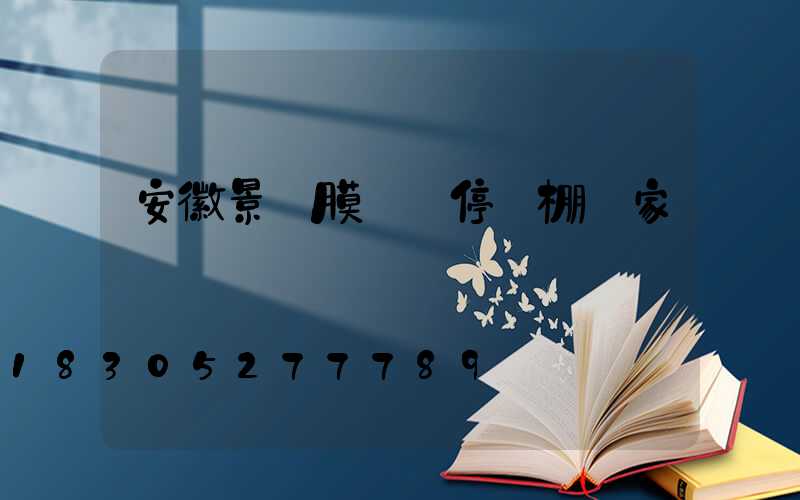 安徽景觀膜結構停車棚廠家
