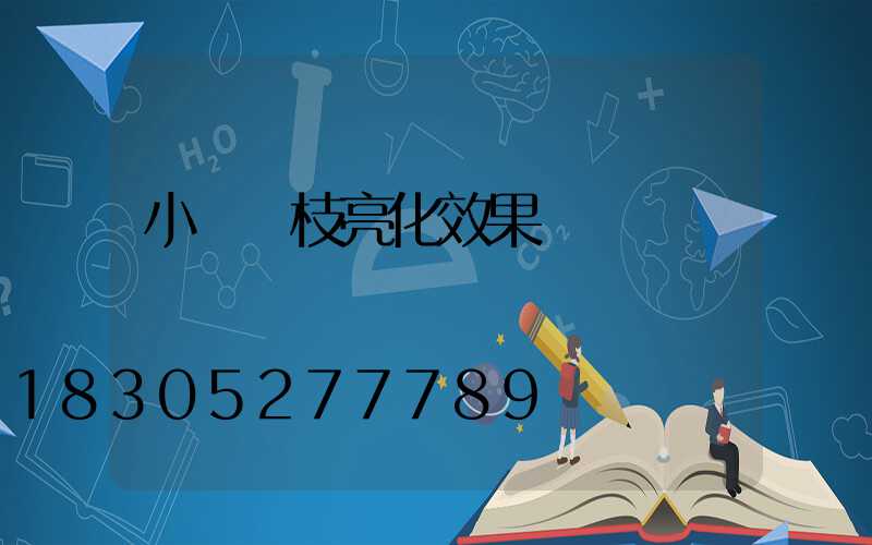小區樹枝亮化效果圖