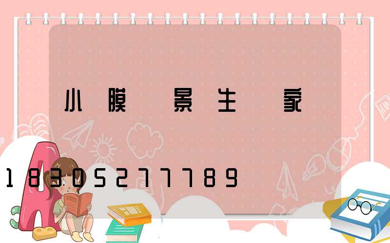 小區膜結構景觀生產廠家