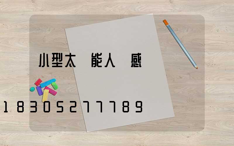 小型太陽能人體感應燈