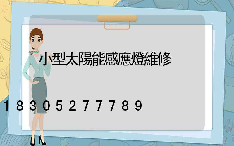小型太陽能感應燈維修