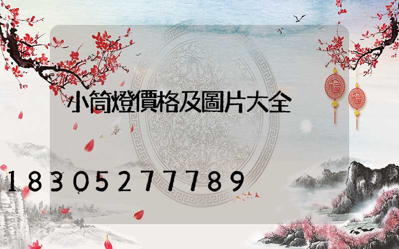 小筒燈價格及圖片大全