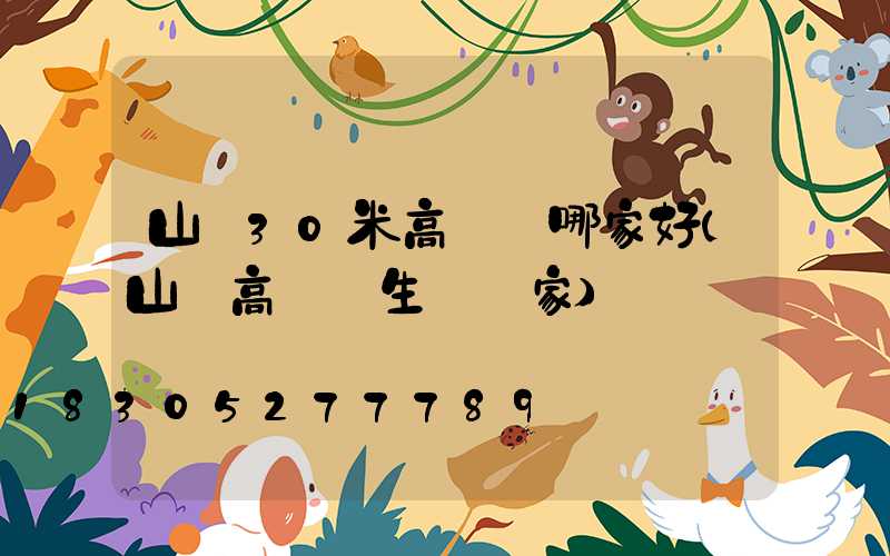 山東30米高桿燈哪家好(山東高桿燈生產廠家)