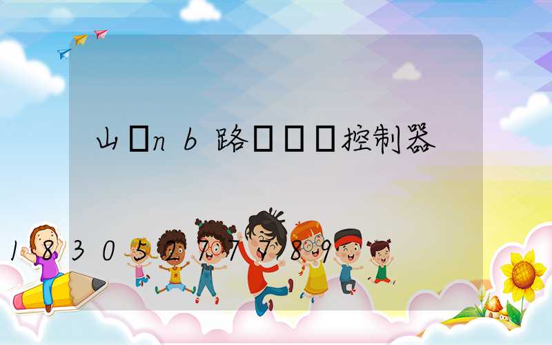 山東nb路燈單燈控制器