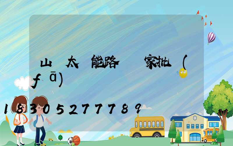 山東太陽能路燈廠家批發(fā)