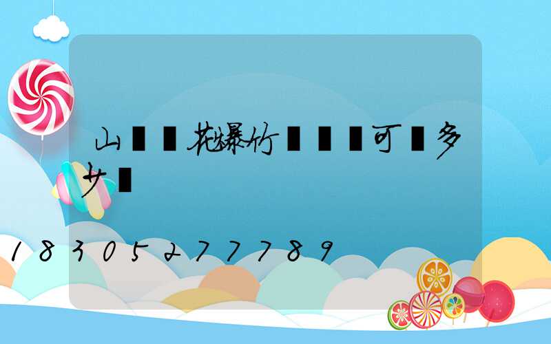 山東煙花爆竹經營許可證多少錢
