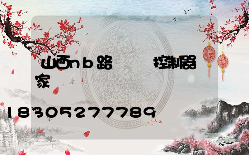 山西nb路燈單燈控制器廠家