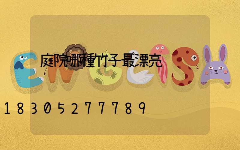 庭院哪種竹子最漂亮